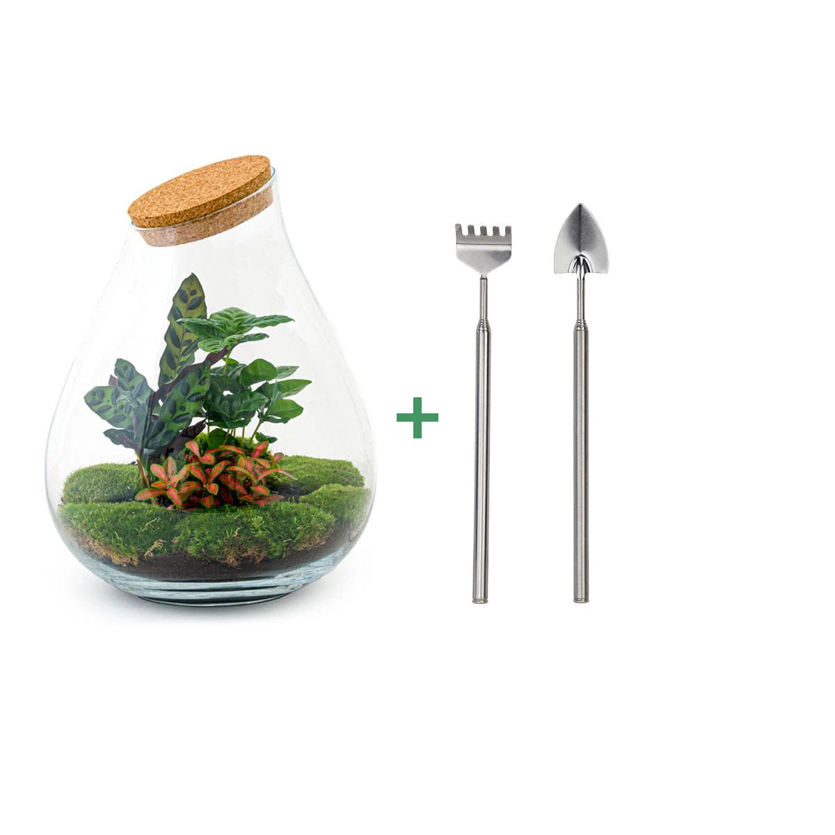 DIY terrarium - Drop XL Red - 37cm