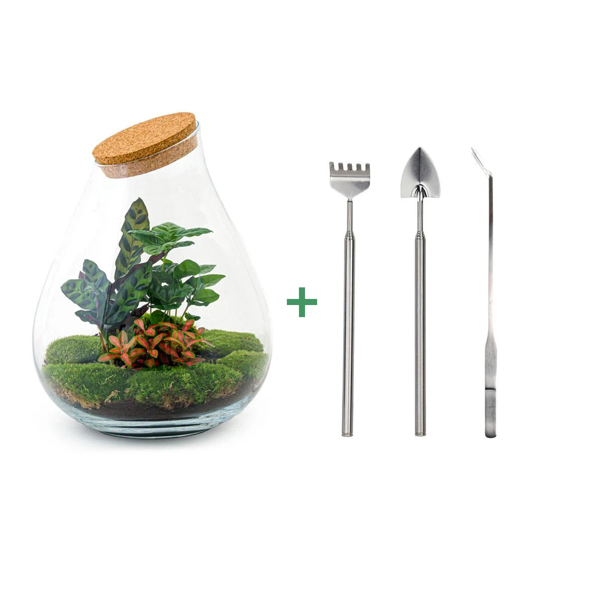 DIY terrarium - Drop XL Red - 37cm