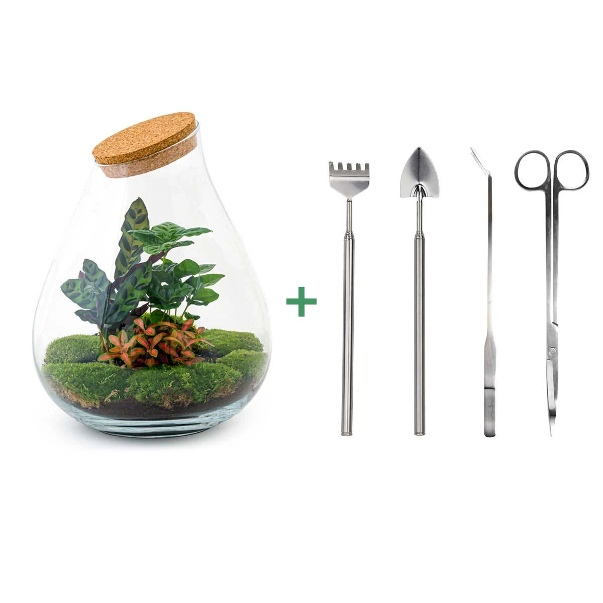 DIY terrarium - Drop XL Red - 37cm