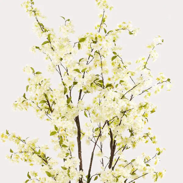 Artificial plant - Prunus - Cherry blossom - White - 210cm