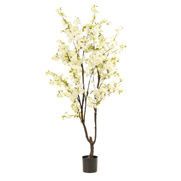 Artificial plant - Prunus - Cherry blossom - White - 210cm