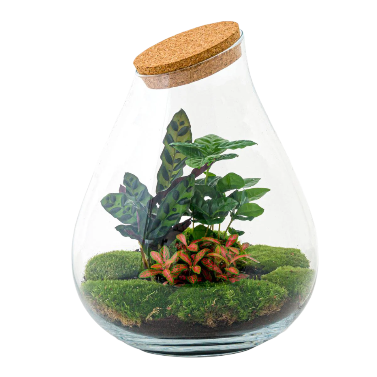 DIY terrarium - Drop XL Red - 37cm