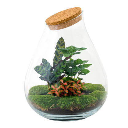 DIY terrarium - Drop XL Red - 37cm