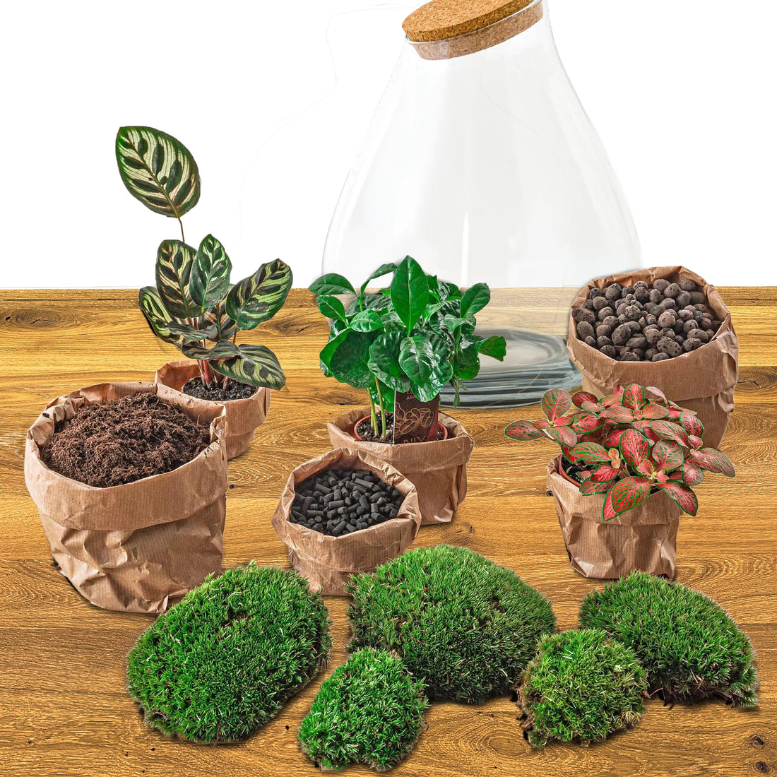 DIY terrarium - Drop XL Red - 37cm