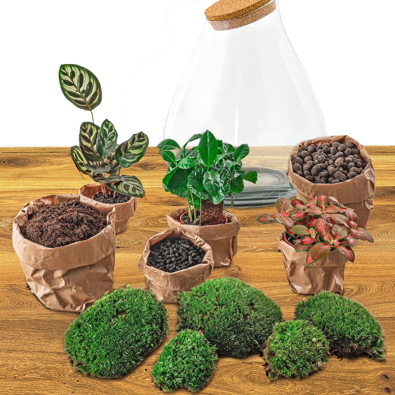 DIY terrarium - Drop XL Red - 37cm